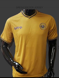 Omega Dry Fit  Soccer Jersey